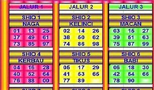 Togel Jalur Main